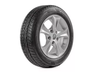 Summer Performance 195/65R15 91H Paxaro