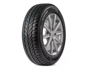 Paxaro Winter 205/55R16 91T