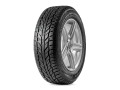 Cooper Weather-Master WSC 215/65R17 99T