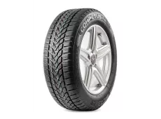 Lassa Competus Winter 2 Plus 205/70R15 96H