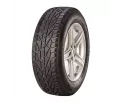 SUV Winter 255/50R19 107V XL Tigar