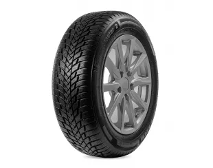 Petlas SnowMaster 2 195/65R15 95H XL