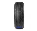 TW401 WinterX 195/65R15 95H XL Triangle