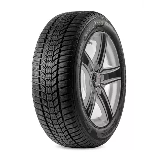 Eskimo HP2 205/65R15 94H Sava