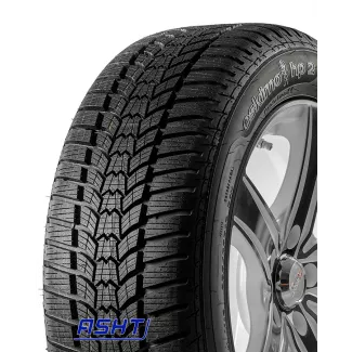 Eskimo HP2 205/65R15 94H Sava