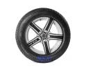 All Season 185/55R15 86H XL Tigar
