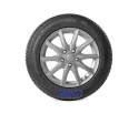 Premiorri Vimero 4Seasons 195/55R16 87V