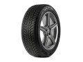 Sonix WinterXPro 888 215/55R17 98V XL