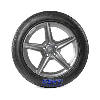 Sonix WinterXPro 888 205/60R16 92H