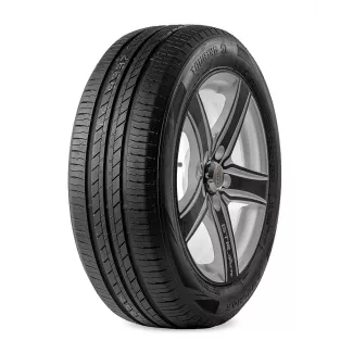 Delmax Touring S1 205/55R16 91V