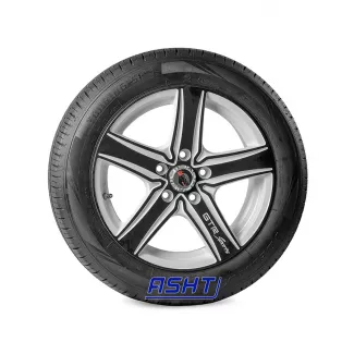 Delmax Touring S1 205/55R16 91V