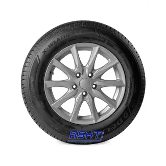 X-Weather II 4S 185/60R15 84H Delmax