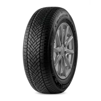 X-Weather II 4S 215/65R16 102V Delmax