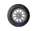 Lassa Transway 3+ 215/75R16C 116/114R