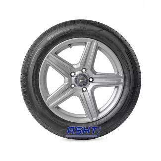 Roadmarch Primestar 66 225/65R17 102H