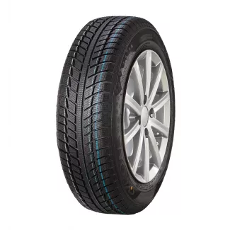 Everest 1+ 205/55R16 91H Syron