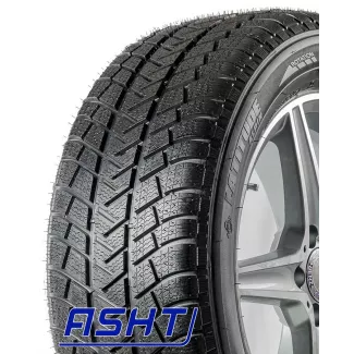 Michelin Latitude Alpin 225/70R16 103T