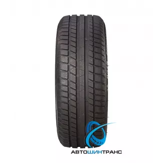 Road Performance 205/55R16 91W Riken