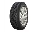 Snow 185/60R15 88T XL Riken