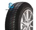 SQ-201 175/70R13 82H Росава Aqualine 