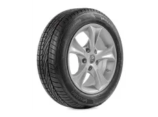 Paxaro Summer Performance 195/65R15 91H