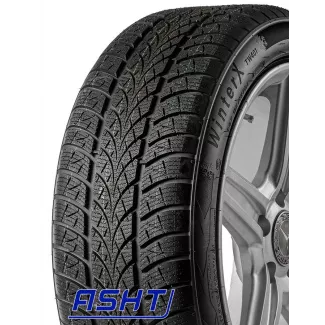 TW401 WinterX 195/60R16 89H Triangle