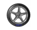 Tigar Winter 195/55R15 85H