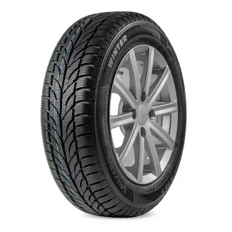 Winter 205/55R16 91T Paxaro