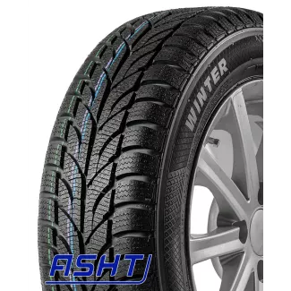 Winter 205/55R16 91T Paxaro