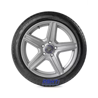 Triangle WinterX TW401 195/55R20 95H XL