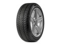 Triangle WinterX TW401 195/55R20 95H XL